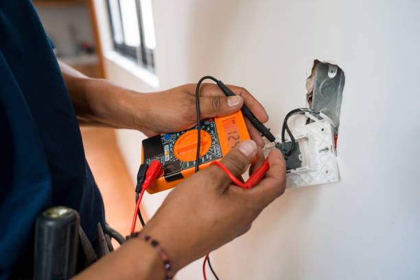 Best Electrical Repair Services  in Fruitland, MD