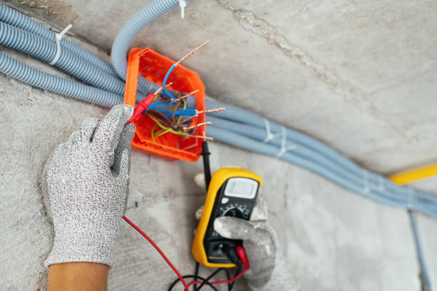 Best Residential Electrician Services  in Fruitland, MD